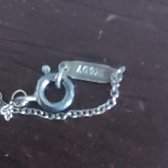 Authentic Tiffany 16" Sterling Silver Logo Charm Necklace - Picture 3 of 4
